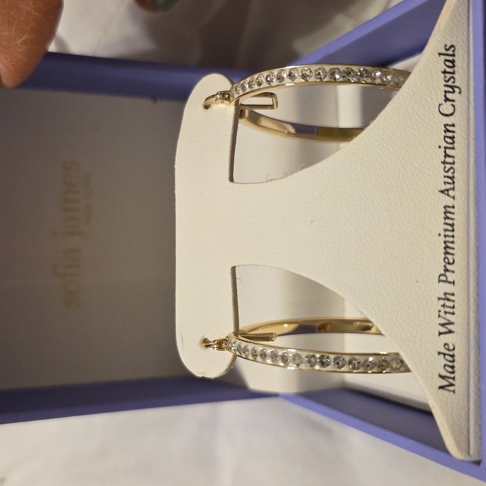 Sofia James Elegant Gold  Crystal Hoop Earrings